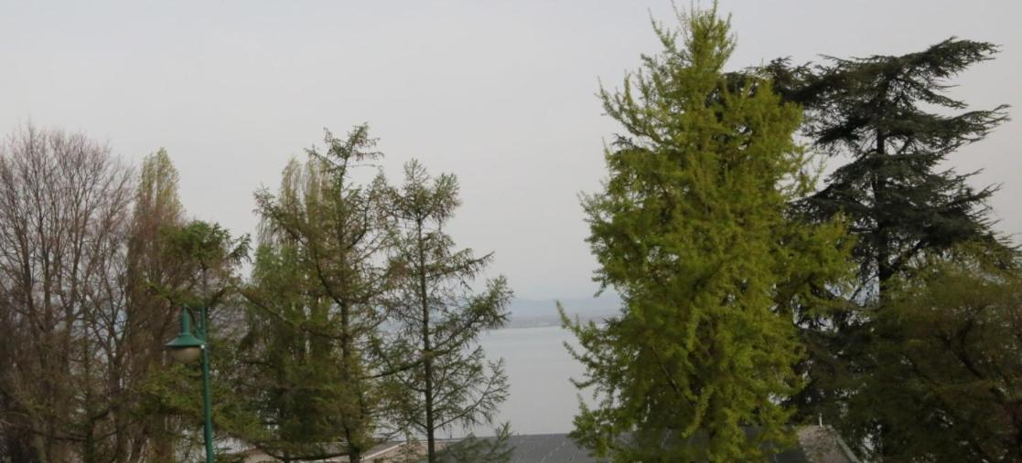 Magnifique T3 Face Au Lac Évian-les-Bains Exterior foto